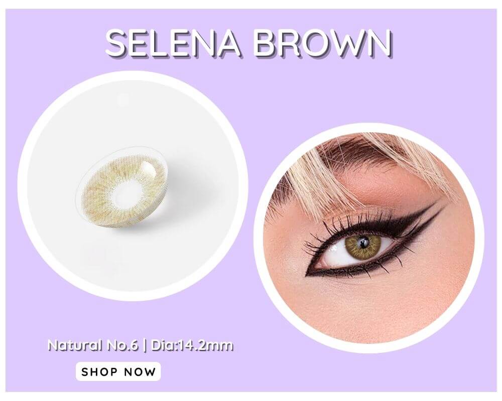 beacolors Brown contact lenses